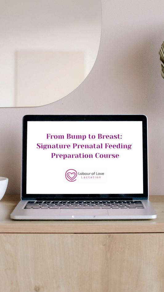 From Bump to Breast: Signature Prenatal Feeding Course