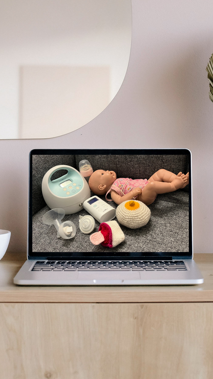 From Bump to Breast: Signature Prenatal Feeding Course