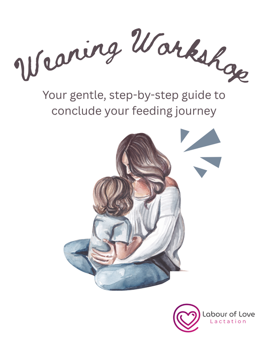 Weaning Workshop